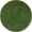 swatch color pea green