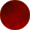 106596 - CHERRY SHELL CORDOVAN - E